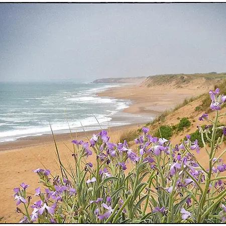 Le Petit Semaphore - Piscine * Les Sables-dʼOlonne